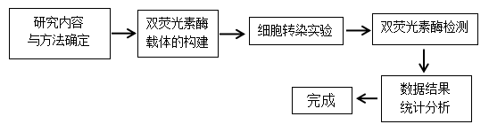 荧光.png